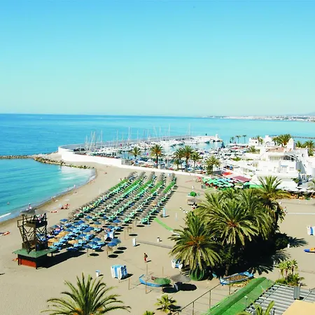 In First Line Apto 6-6